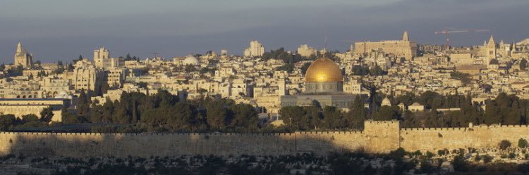 mtabel_1's profile banner image