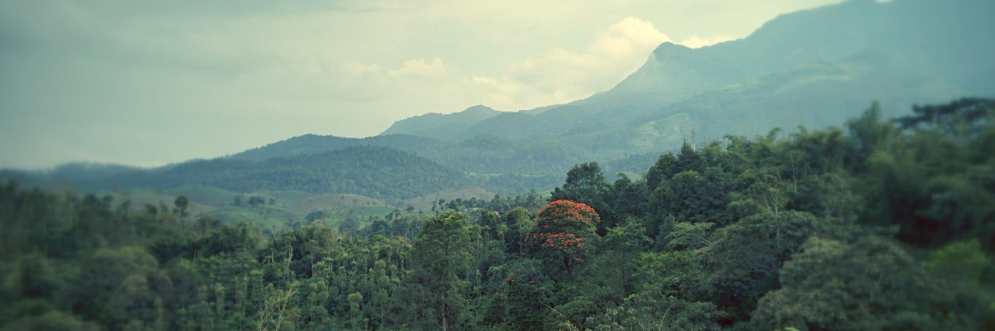 mohsaldotdev's profile banner image
