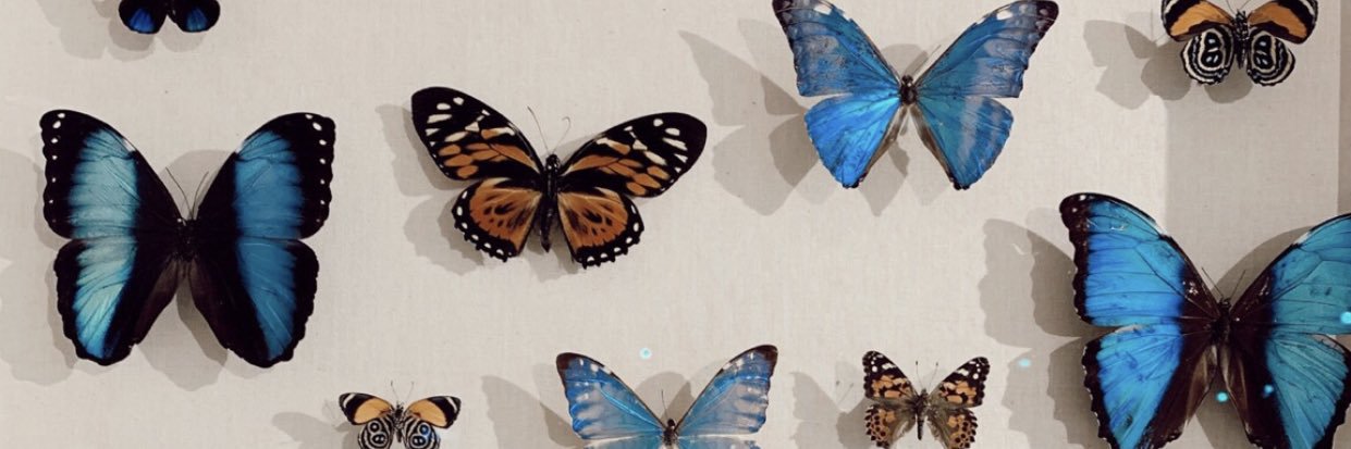 glenchlochl0's profile banner image