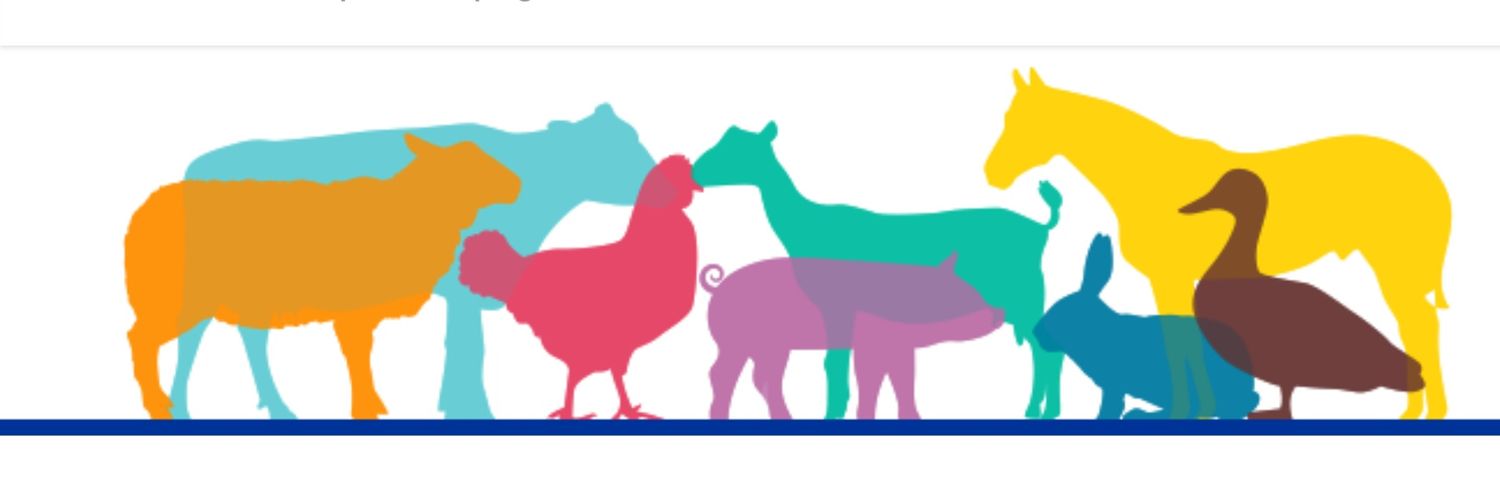 interfarmke's profile banner image