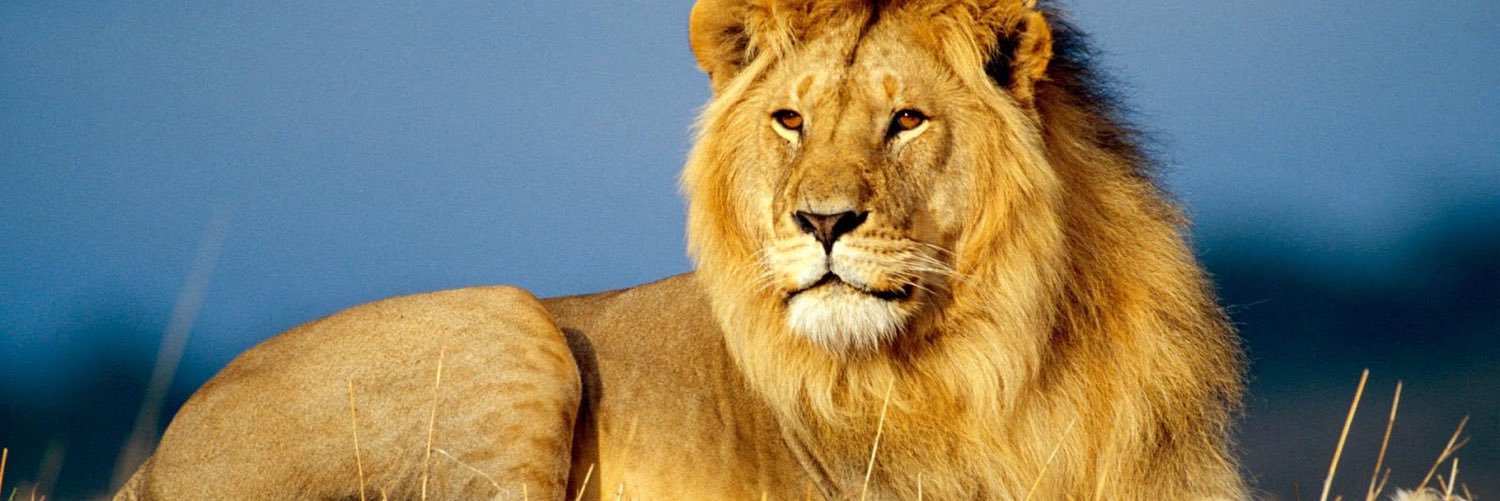 DMAC2418's profile banner image
