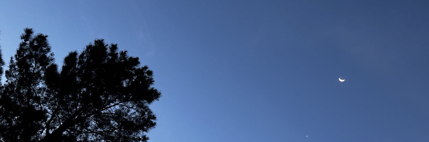 theceeci's profile banner image
