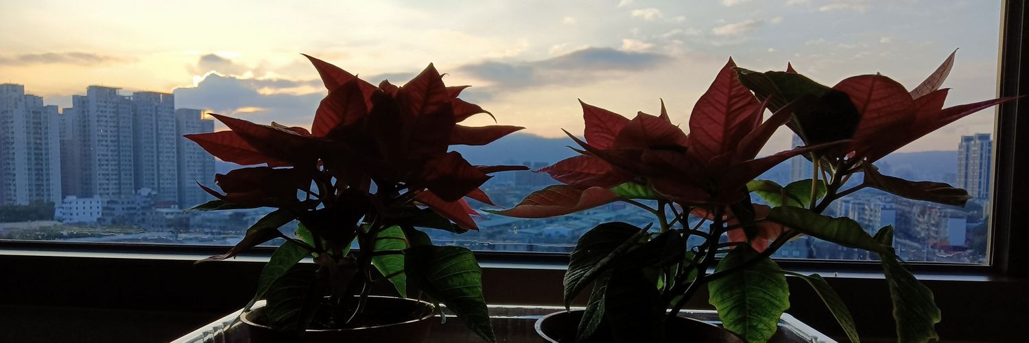 WINAR09's profile banner image