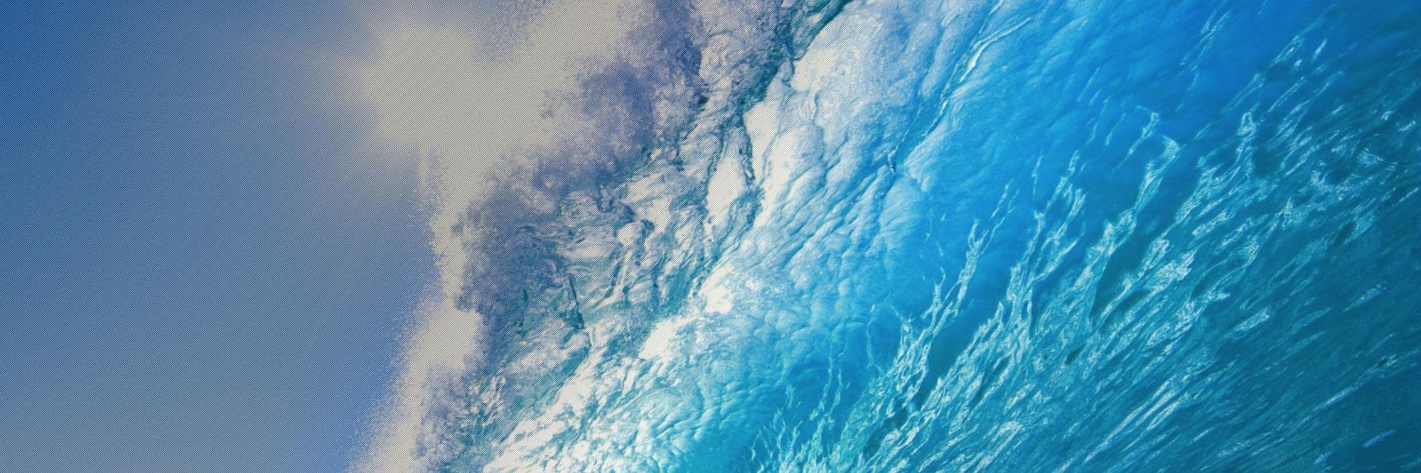 siliconcoast's profile banner image