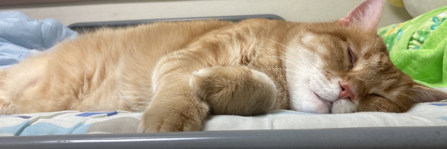 KennyD's profile banner image