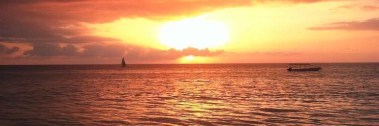 AustinBurritt's profile banner image