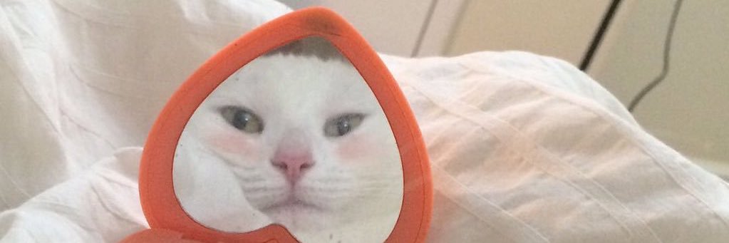 lmitation0's profile banner image