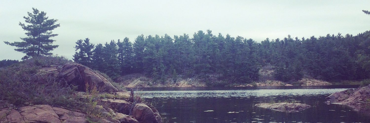 livetruthfully's profile banner image