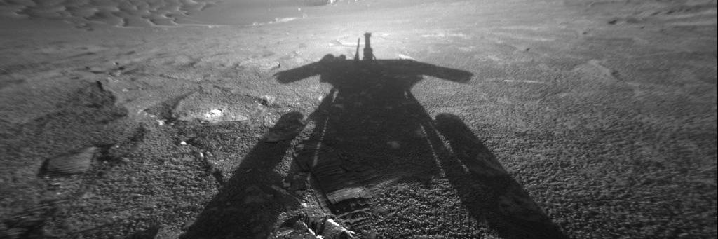 Francis Panton 🇺🇦 🇵🇸 ❤️🤍🖤 banner