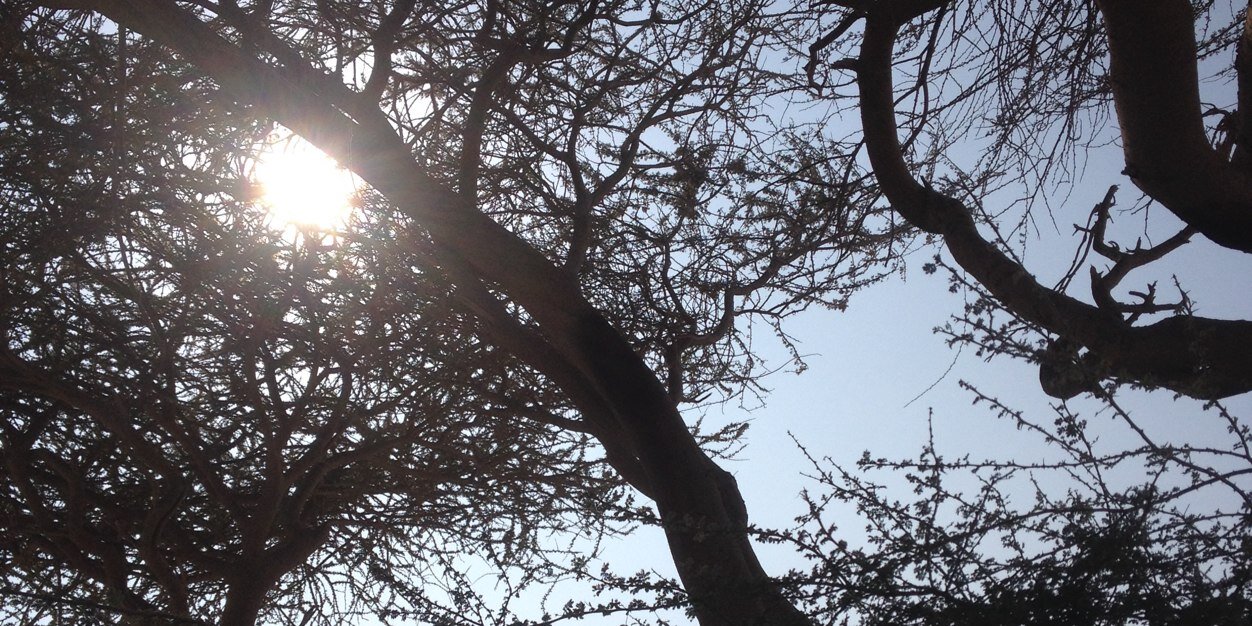 khelaifi's profile banner image