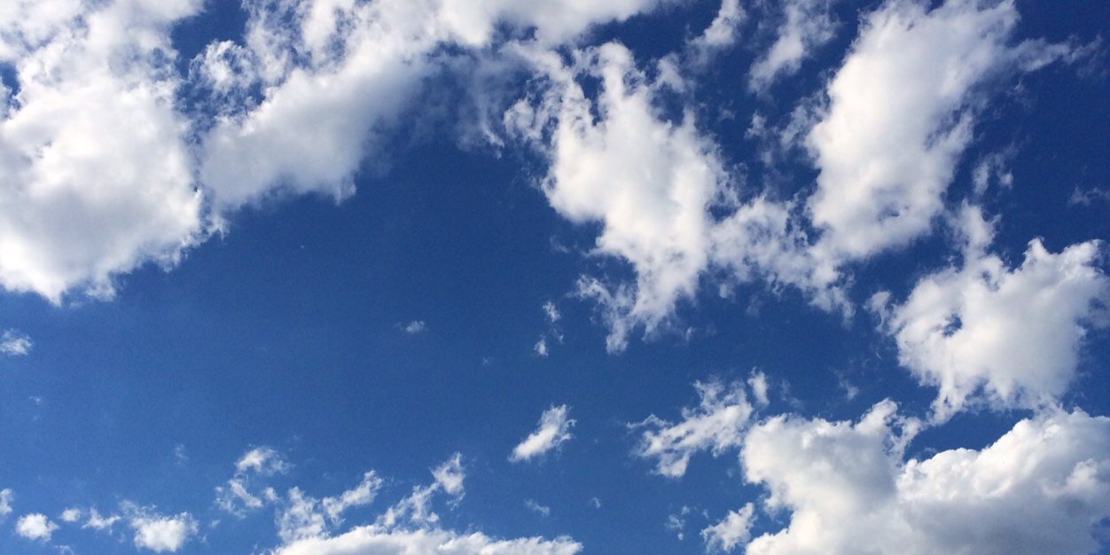 bernieibini's profile banner image
