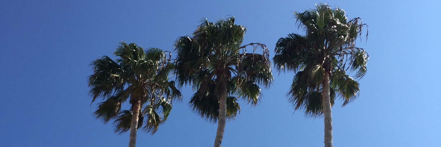 ElyseFerrell's profile banner image