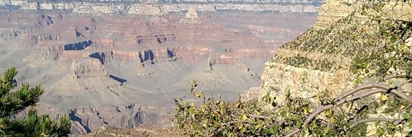 MindiEden Profile Banner