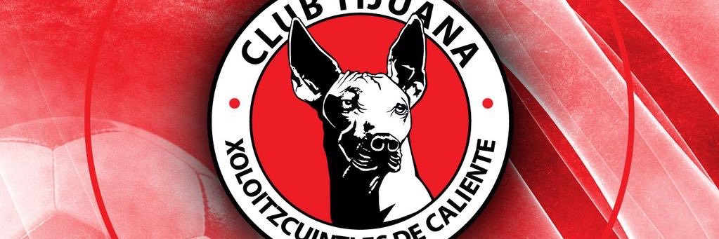 perromayordf's profile banner image