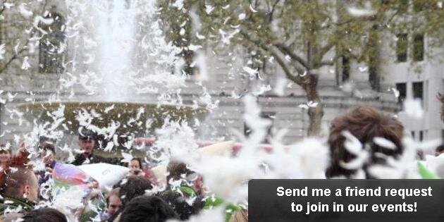 Focallocal's profile banner image