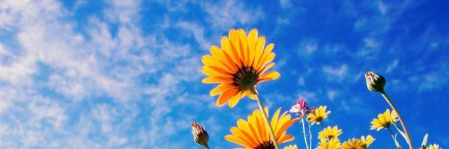 korya_2_2's profile banner image
