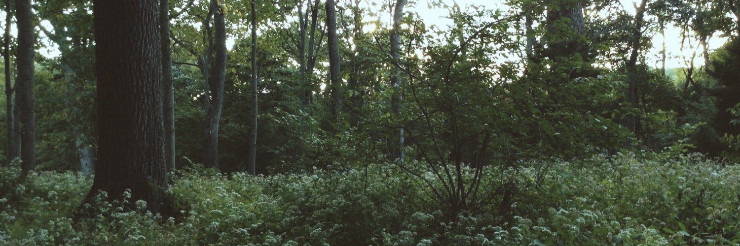 aprilrose426's profile banner image