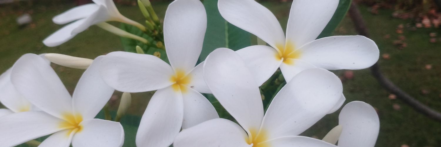 kumar_bhu's profile banner image