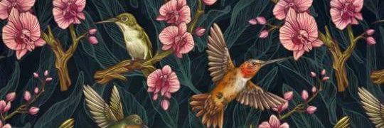 TanFlowers's profile banner image
