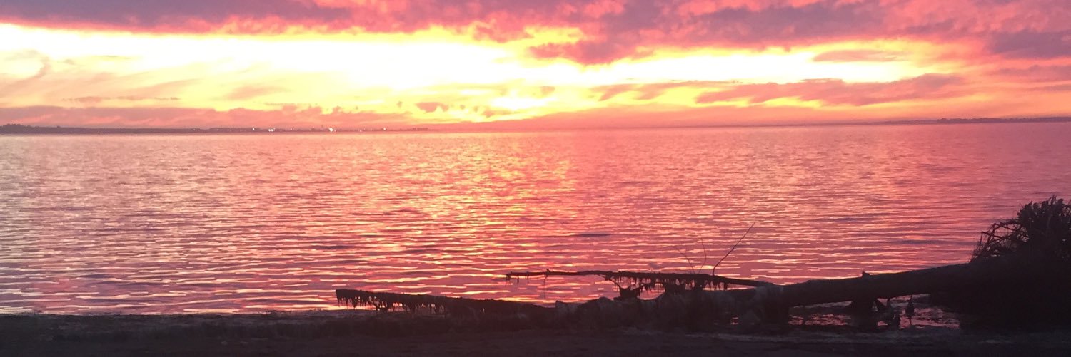SabrinaGraham5's profile banner image