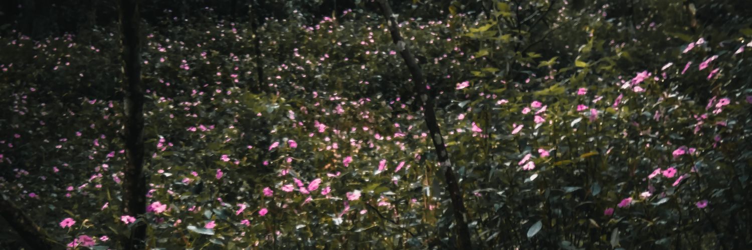 s_aduuy's profile banner image