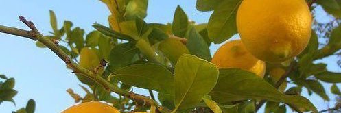 katecccab's profile banner image