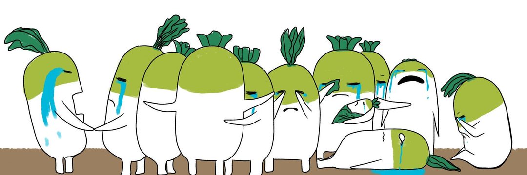 ashuhleedoe's profile banner image