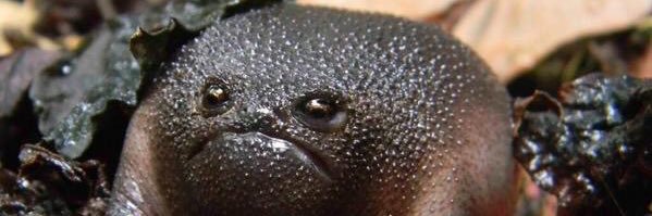 JustHarold's profile banner image