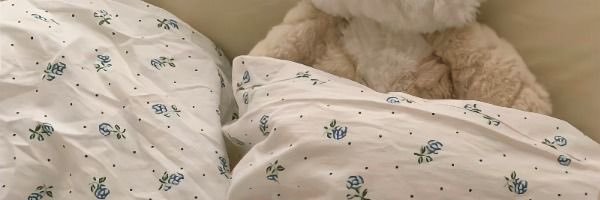 lecordon_bear's profile banner image