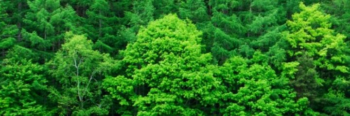 KOT_Merry's profile banner image