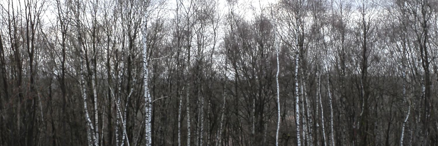thoschmel's profile banner image