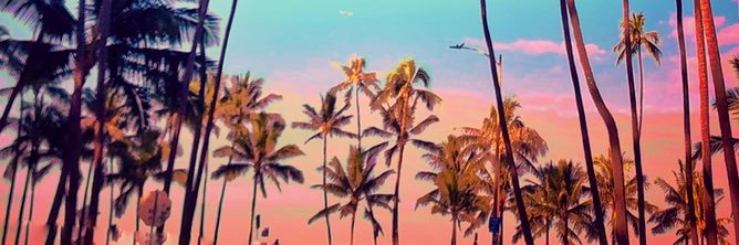 amorelyssa's profile banner image