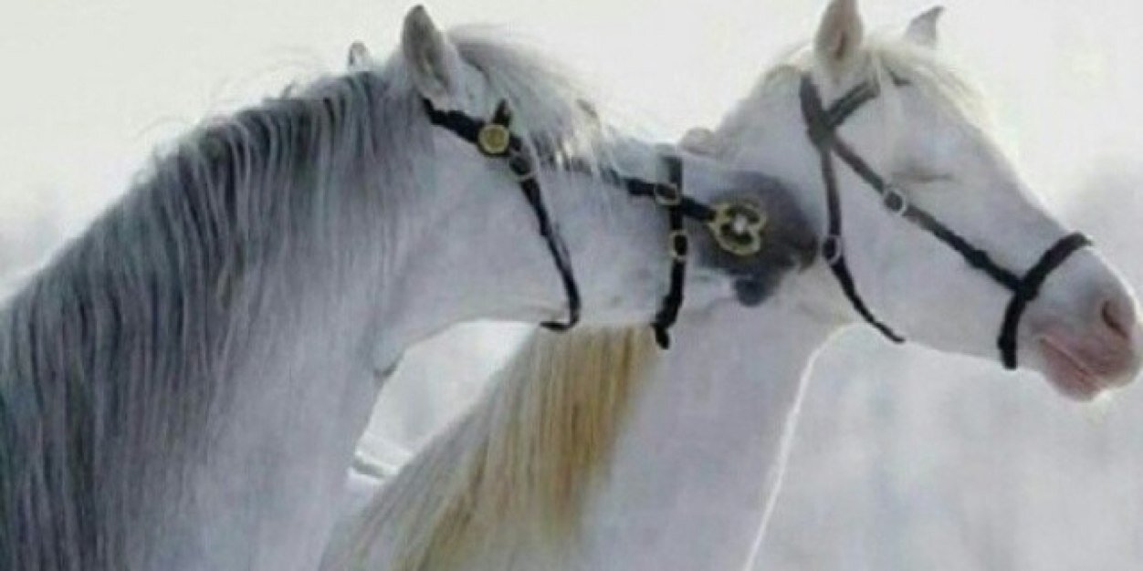 noooof1111's profile banner image