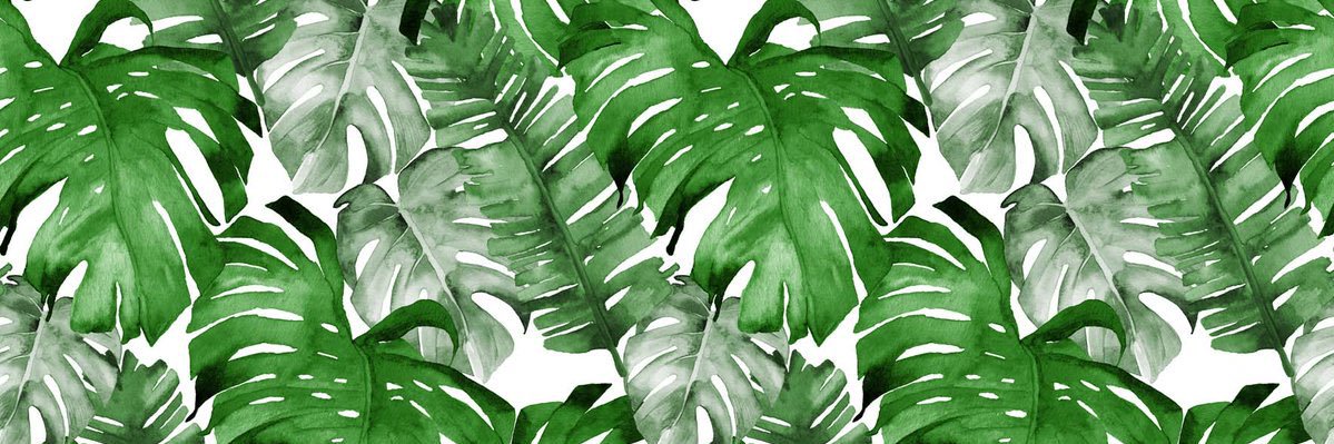 Kate0804's profile banner image