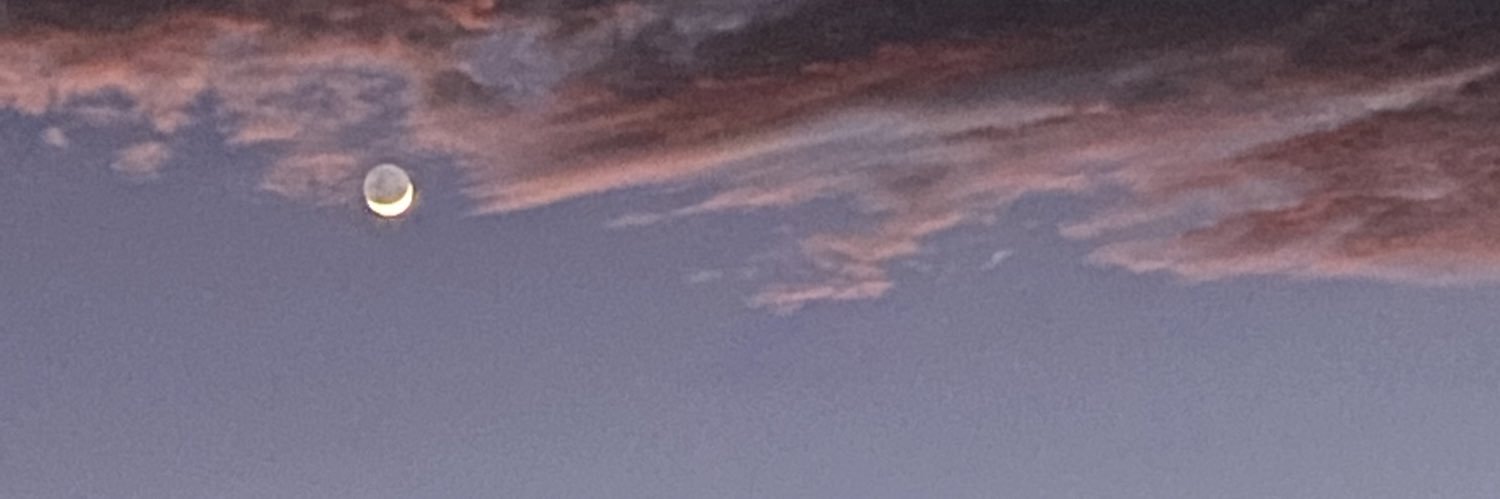 ᴊᴇɴ 🌻 banner