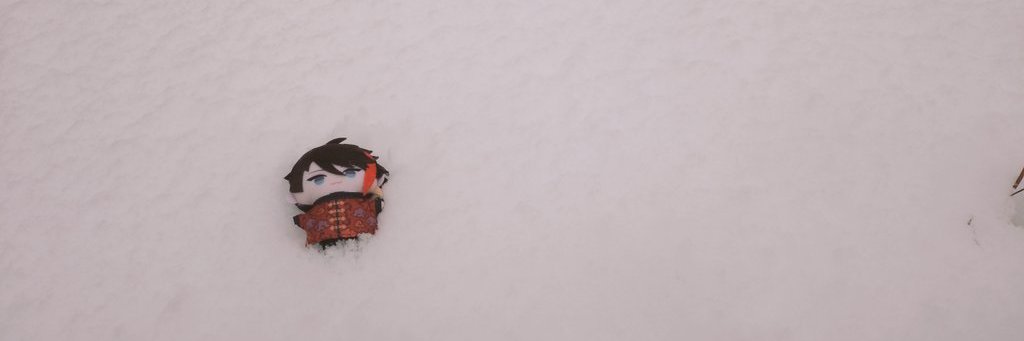 and_n2's profile banner image