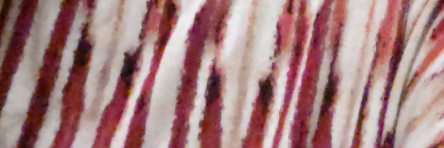 meeksz_101's profile banner image