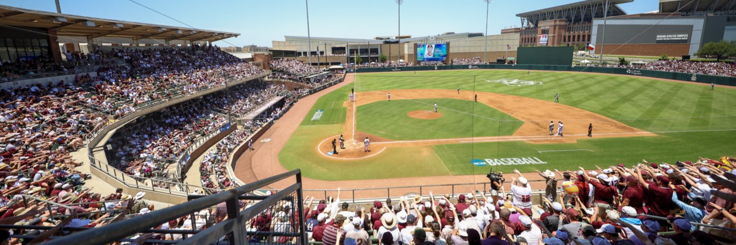 Texas A&M Baseball's banner