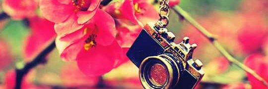 glitterfly56's profile banner image