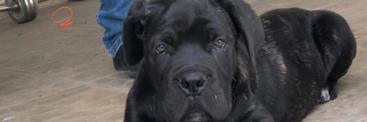 mariohsoto's profile banner image