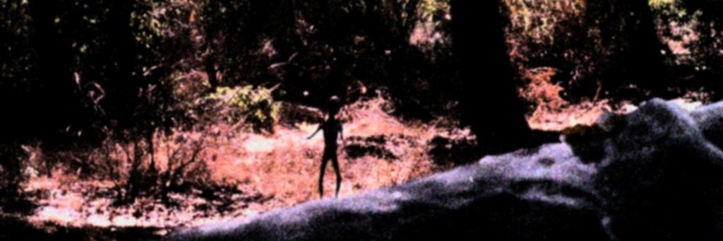 Always Redeem 🇺🇸 banner