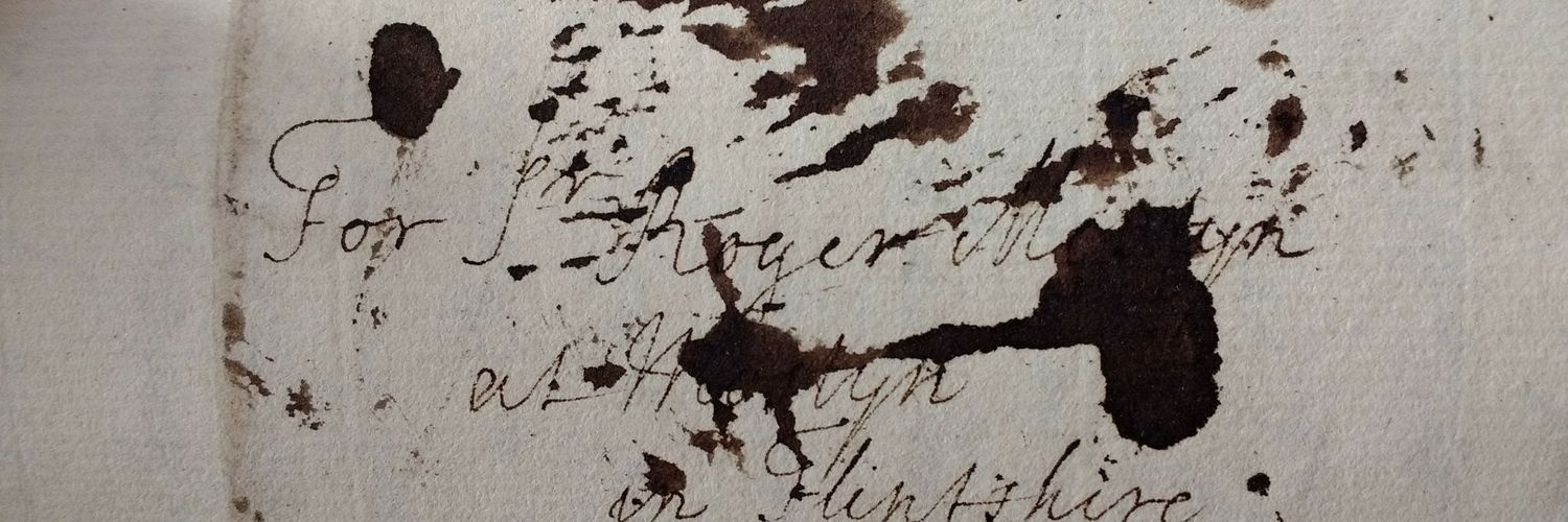 Dr Mary Chadwick banner