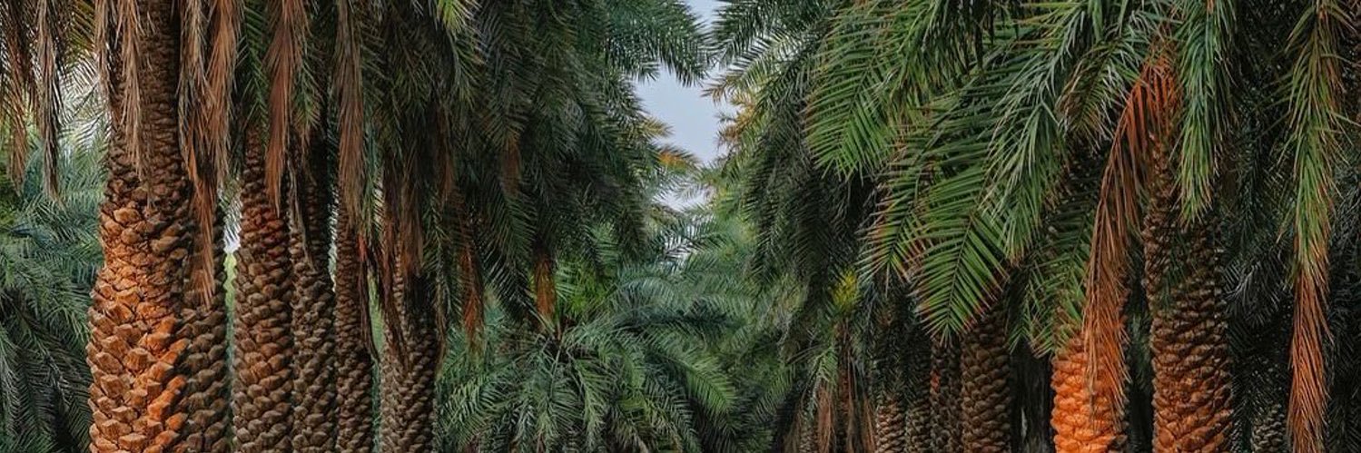 د. نوال الشهري 🇸🇦 banner