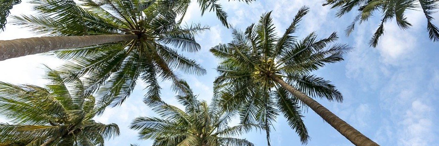 BoscovsTravel's profile banner image