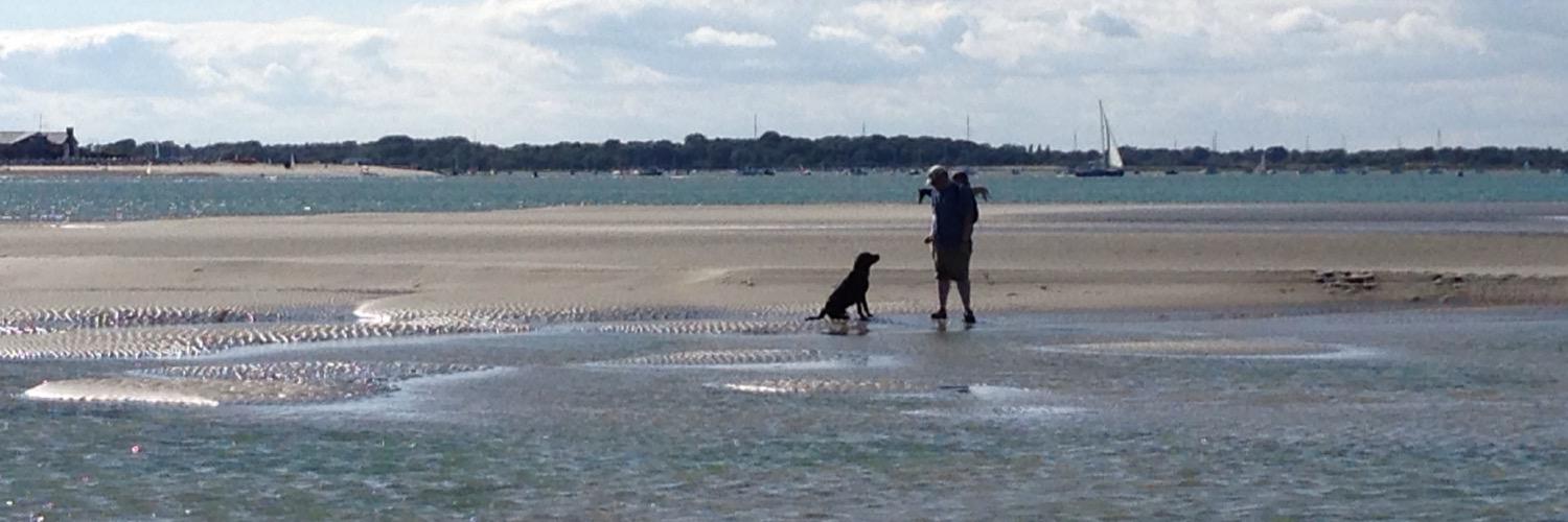 Arran Sutherland banner