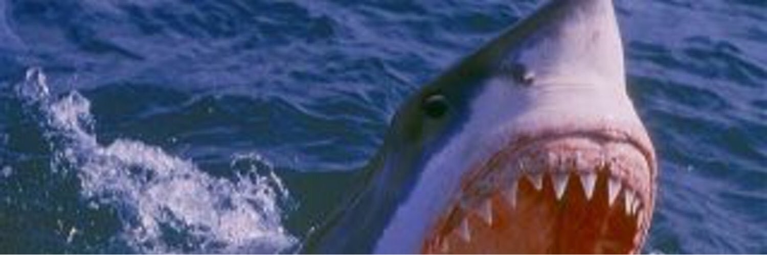 gotsuu's profile banner image