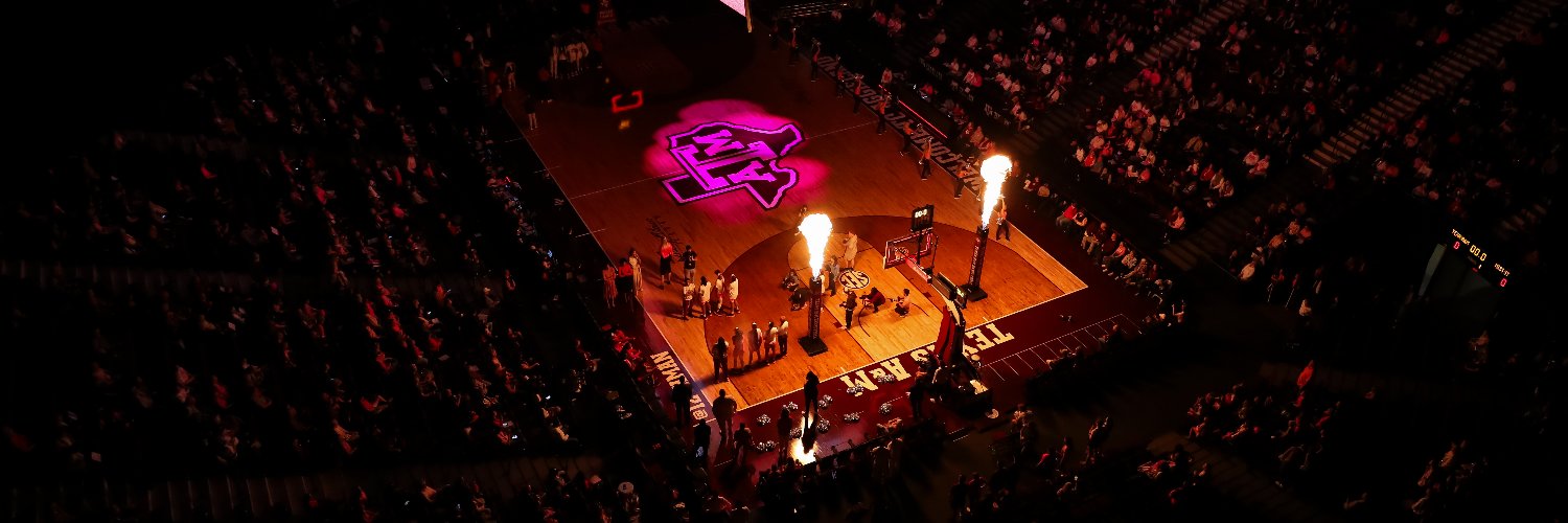 Texas A&M Women's Basketball banner