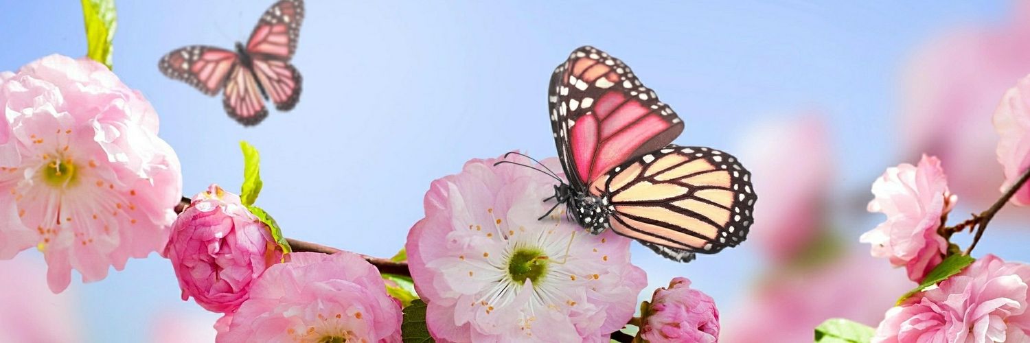 dhora_chan's profile banner image