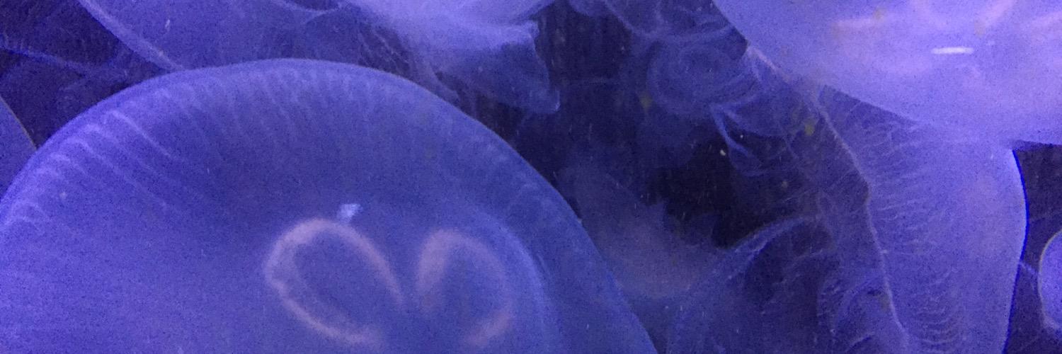 amos_vm's profile banner image