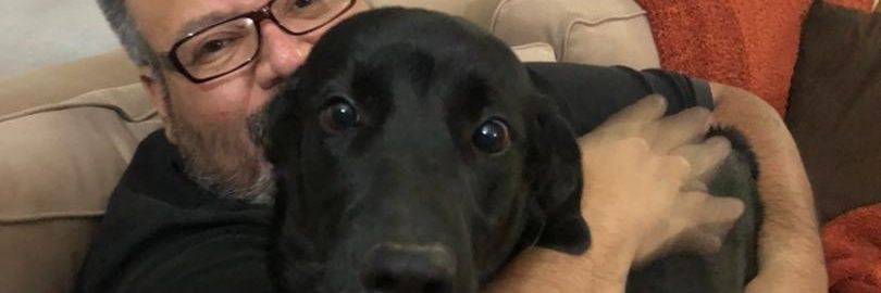 odocamero's profile banner image